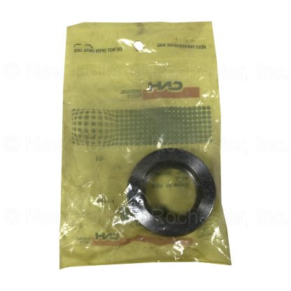 New Holland Nut Part # 248167