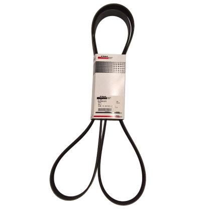 New Holland Belt Part # 84406423