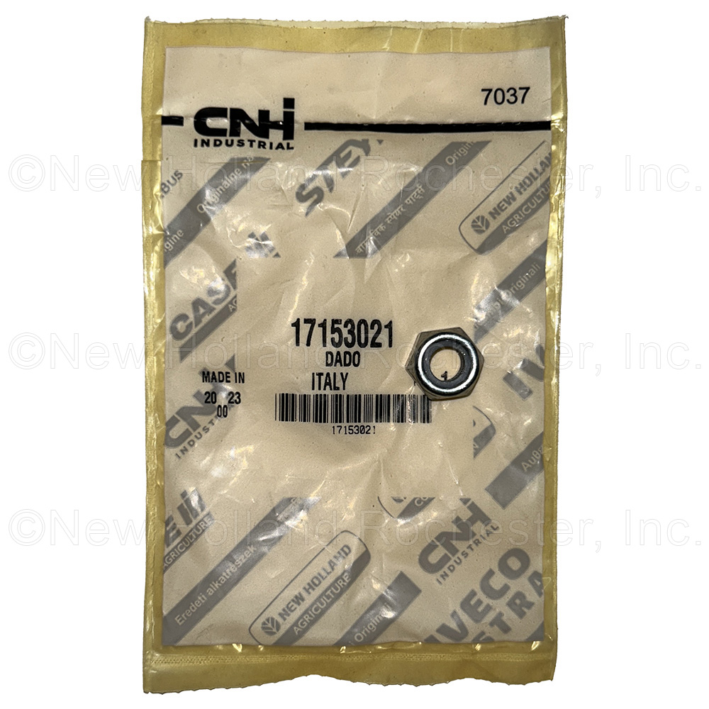 New Holland Nut Part # 17153021