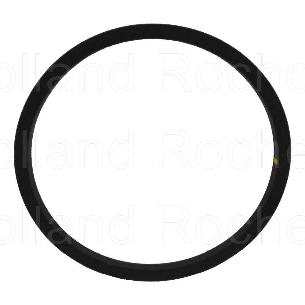 New Holland O-Ring Part # 37307