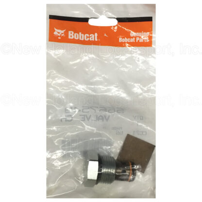 Bobcat Check Vale Part # 6667549