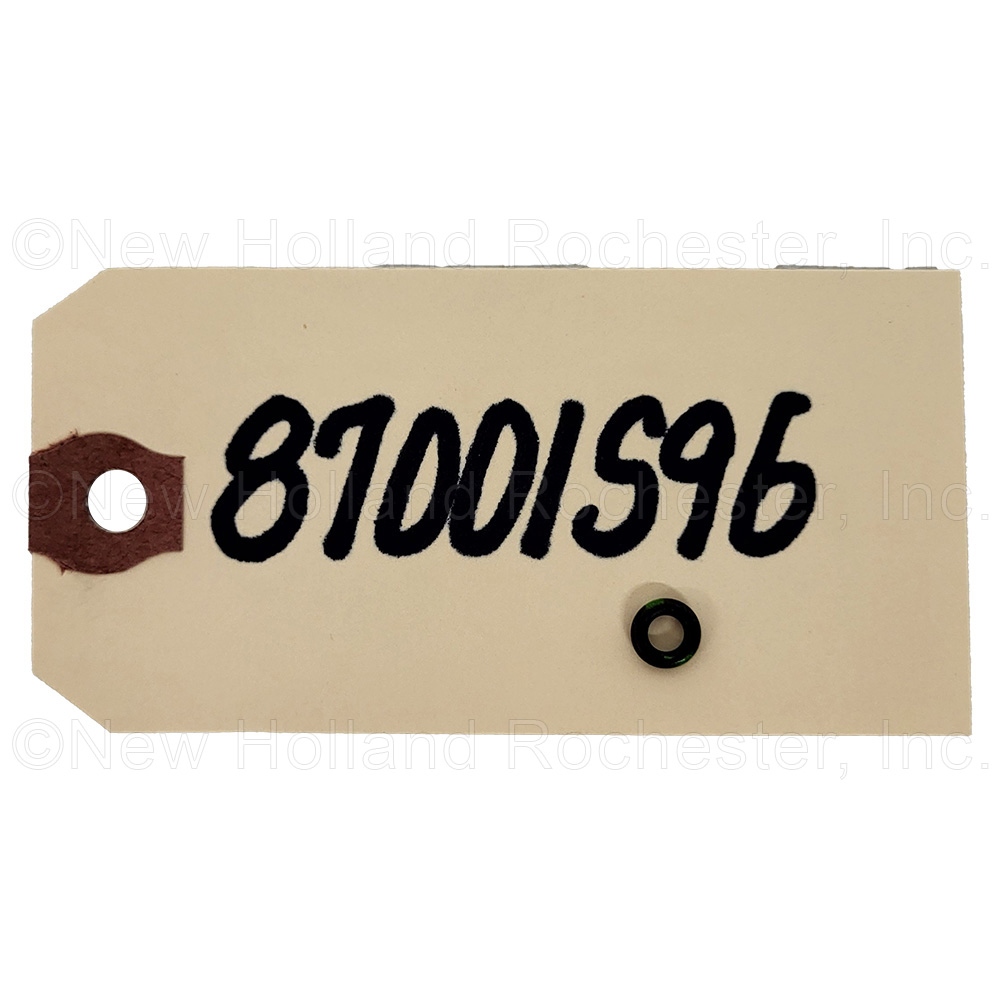 New Holland O-Ring Part # 87001S96