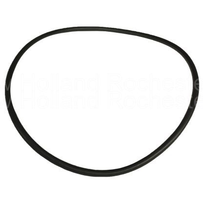 New Holland O-Ring Part # 87091S94
