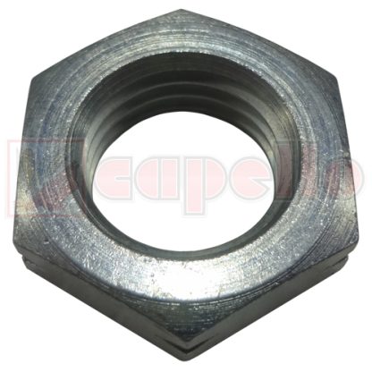 Capello Hex Nut Aftermarket Part # WN-02101100