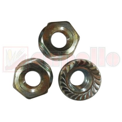 Capello Serrated Flange Nut Aftermarket Part # WN-02202500-PKG