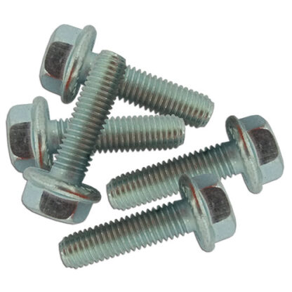 Serrated Flange Bolt, M8x30, Pack of 5 To Fit Capello Part # WN-02209900-PKG