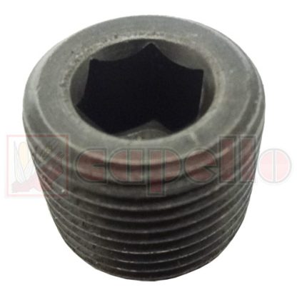 Capello Drain Plug Aftermarket Part # WN-04509900