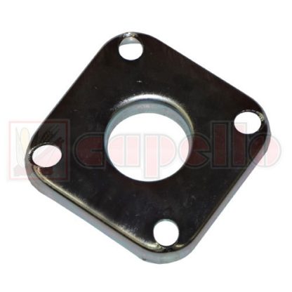 Capello Plate Aftermarket Part # WN-04513601