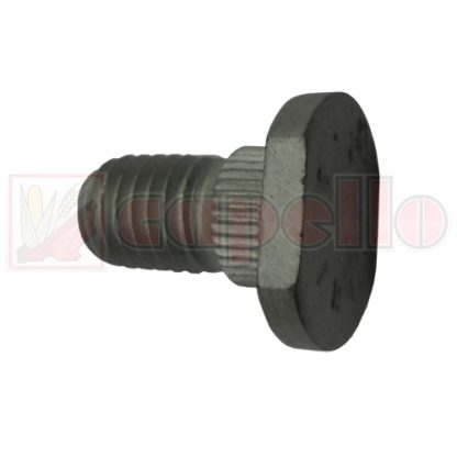 Capello Bolt Aftermarket Part # WN-E1-80129