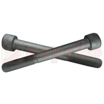 Capello Hex Bolt Aftermarket Part # WN-PMF-000365-PKG