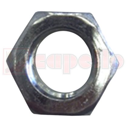 Capello Hex Nut Aftermarket Part # WN-PMF-000380