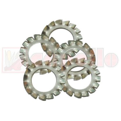 Capello Tooth Washer Aftermarket Part # WN-PMF-000391-PKG