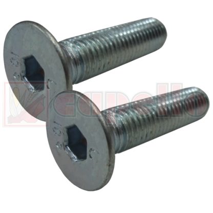 Capello Countersunk Bolt Aftermarket Part # WN-PMF-000436-PKG