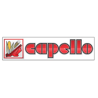 Capello Decal Aftermarket Part # WN-S1-40109