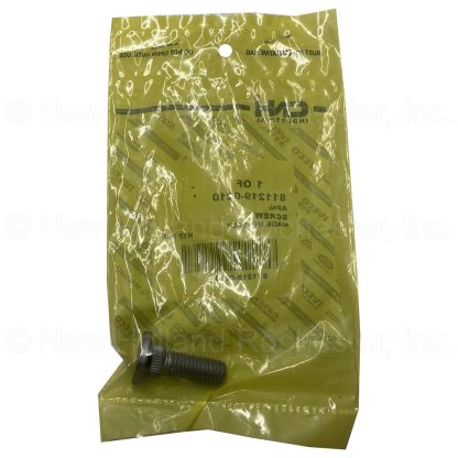 New Holland Screw Part # 811219-0210