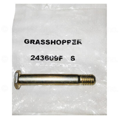 Grasshopper Hex Bolt (Pack of 6) Part # 243609F