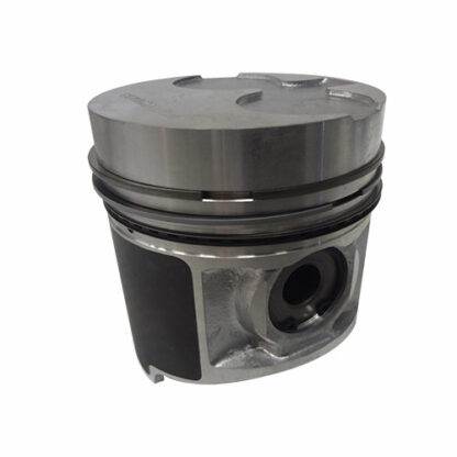 Piston & Rings Part # WN-115016817