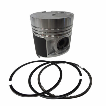 Piston & Rings Part # WN-115017491