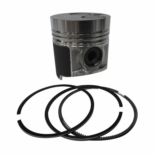Piston & Rings Part # WN-115017541