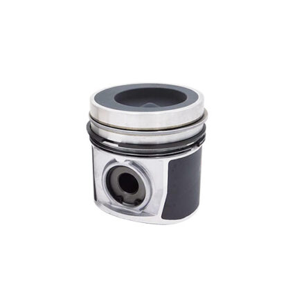 Piston & Rings Part # WN-3802102